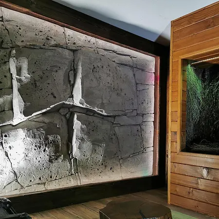 Art Mountain
